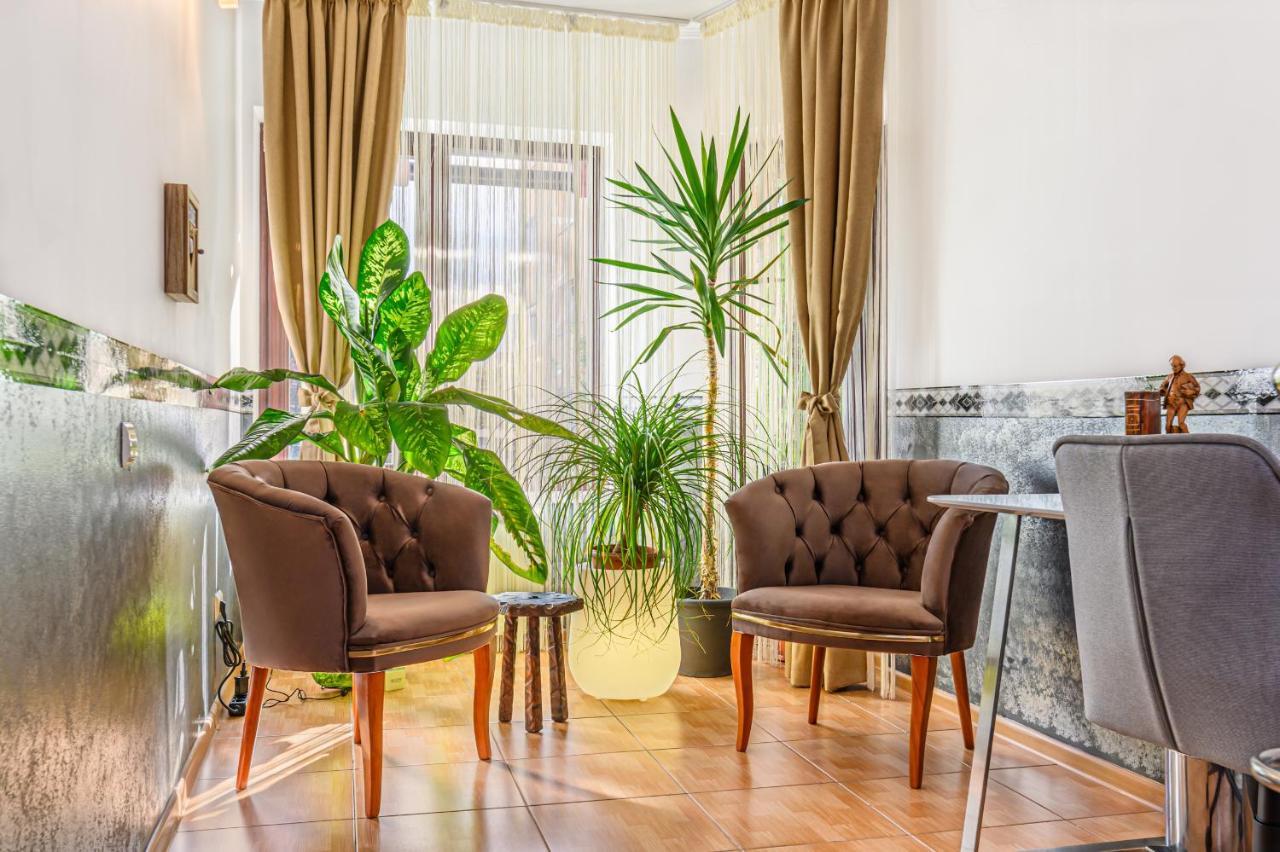 Zona de relaxare Vila Nomad cu plante și fotolii